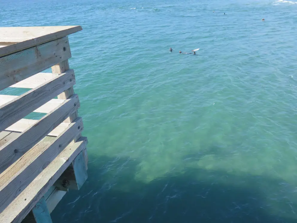 Clear water in January. This sight makes me feel like I'm at a pier in Florida!