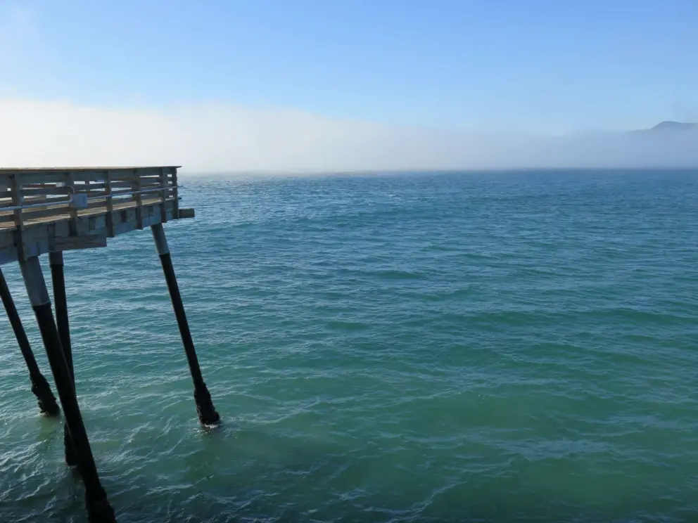 Crazy fog that rolled in out of nowhere at 4pm!