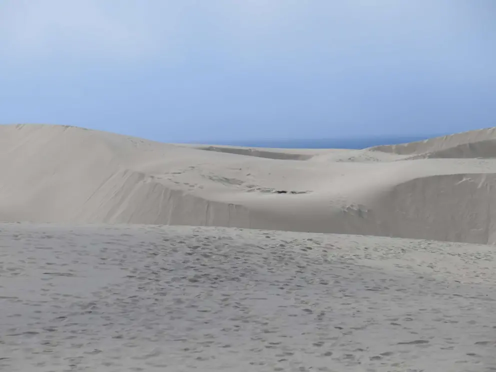 The sea beyond the dunes! You must walk to the first peak to see this. 