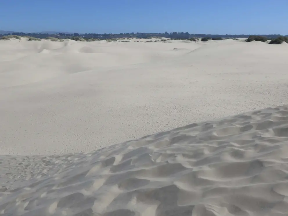 The sand is firm enough that it's not to bad to walk. 
