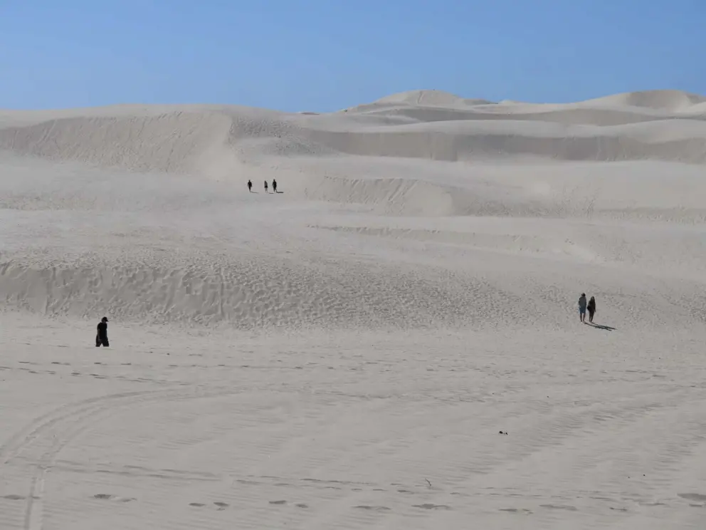 How amazing is this sand dune paradise!