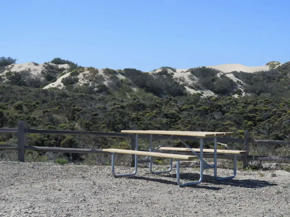 Picnic table that matches with the distant dunes. 