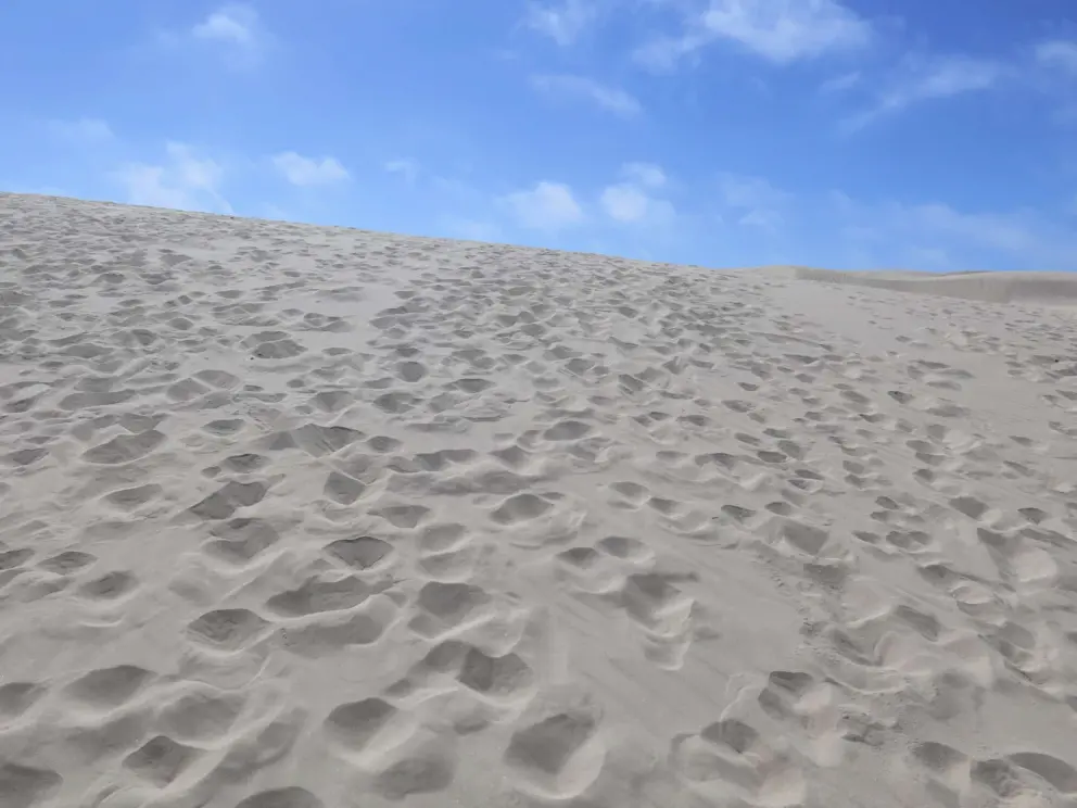 What a lovely sight! Pale yellow sand and blue sky. 
