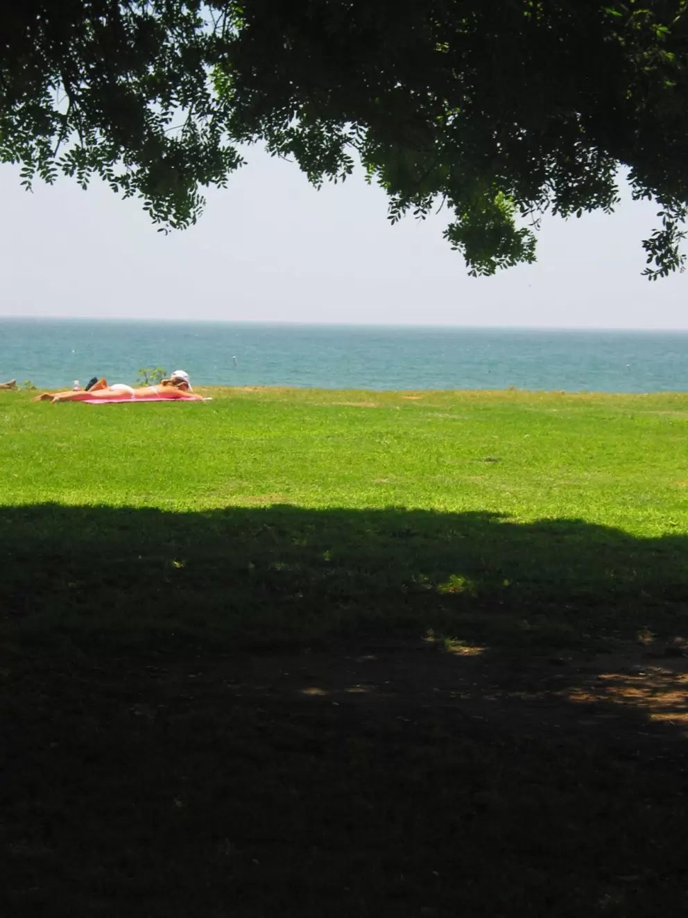 Lazing in the sun.