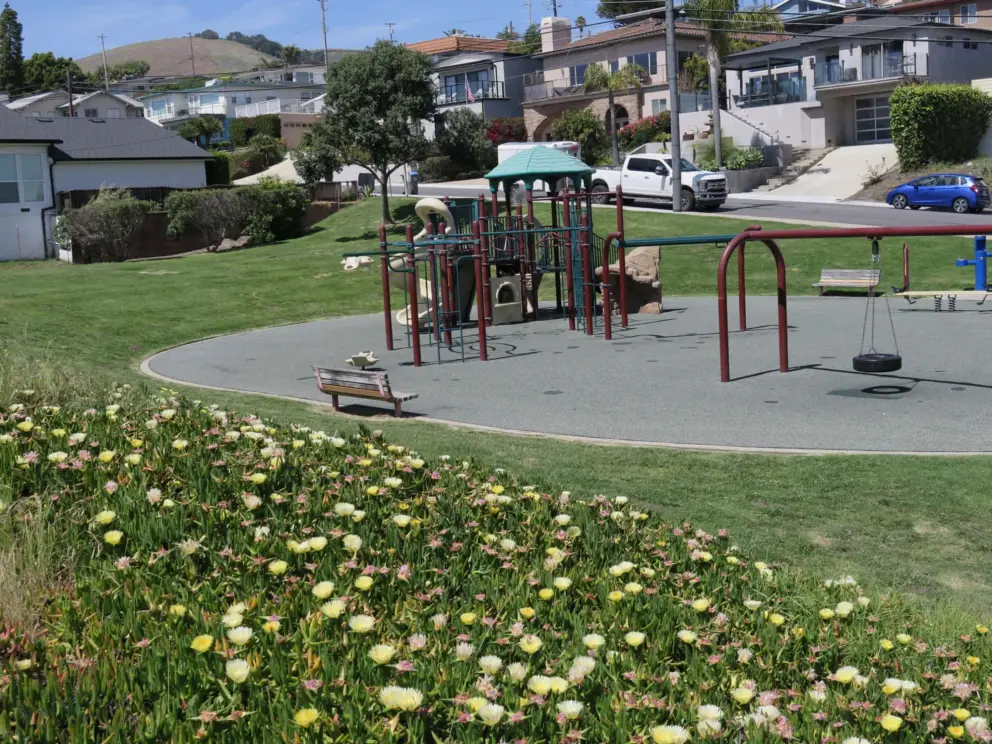 Ice plant and the playground below. 