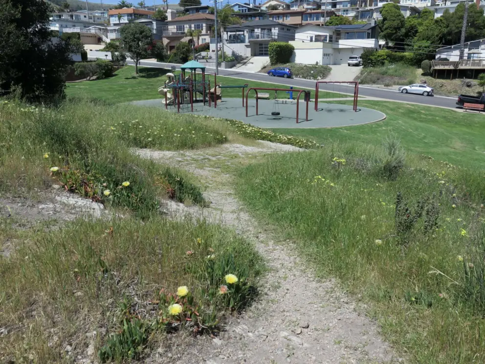 Flowers going down the path. This is the path that leads to the lookout. 