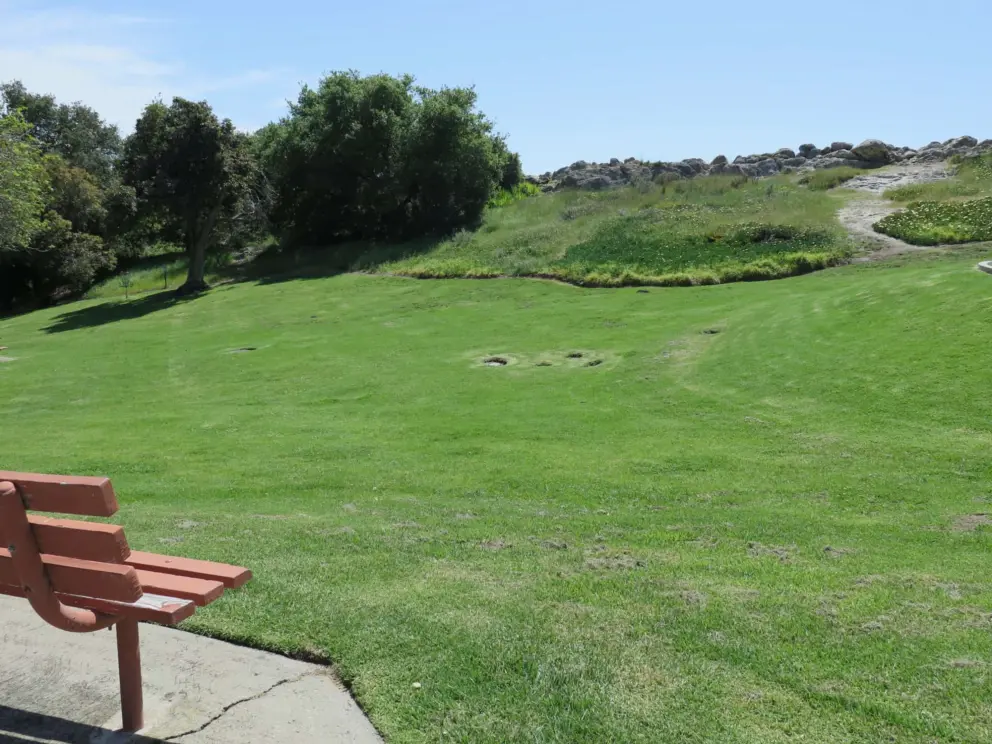 The park slopes down in a fun way. Kids can run down!