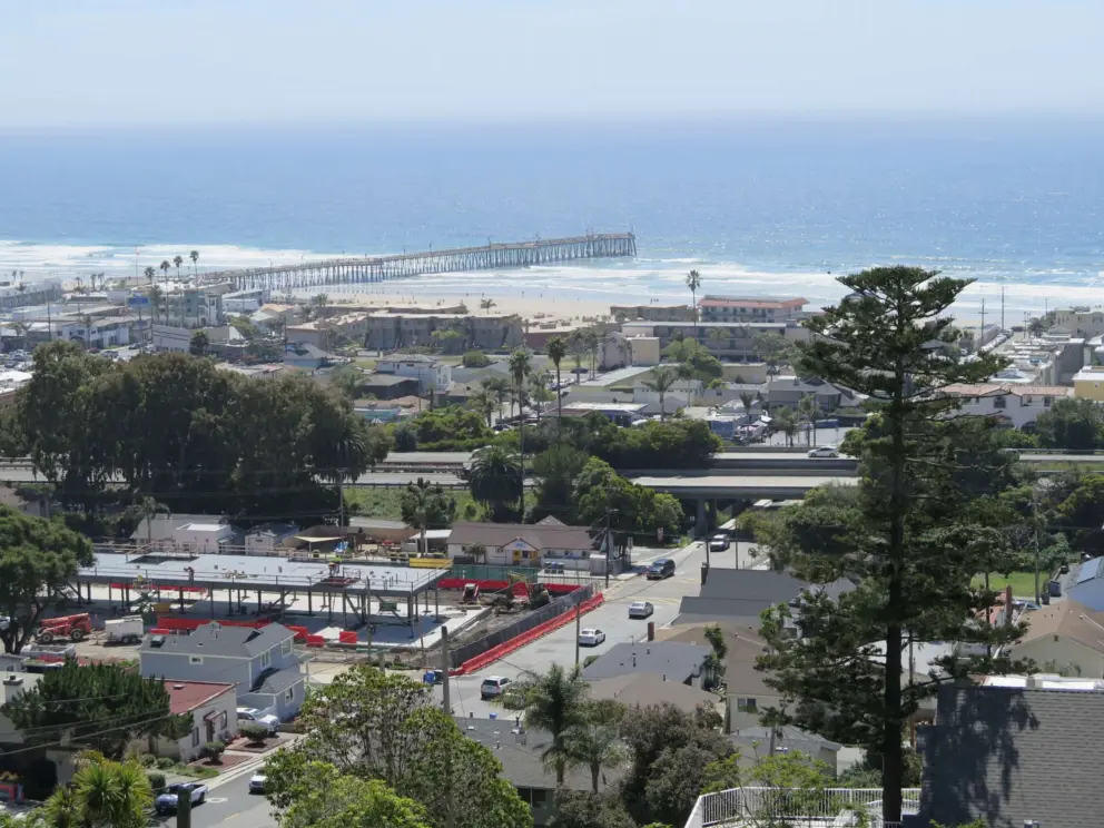 Pismo Beach Pier, as seen from Boosinger Park, and a Norfolk Pine.