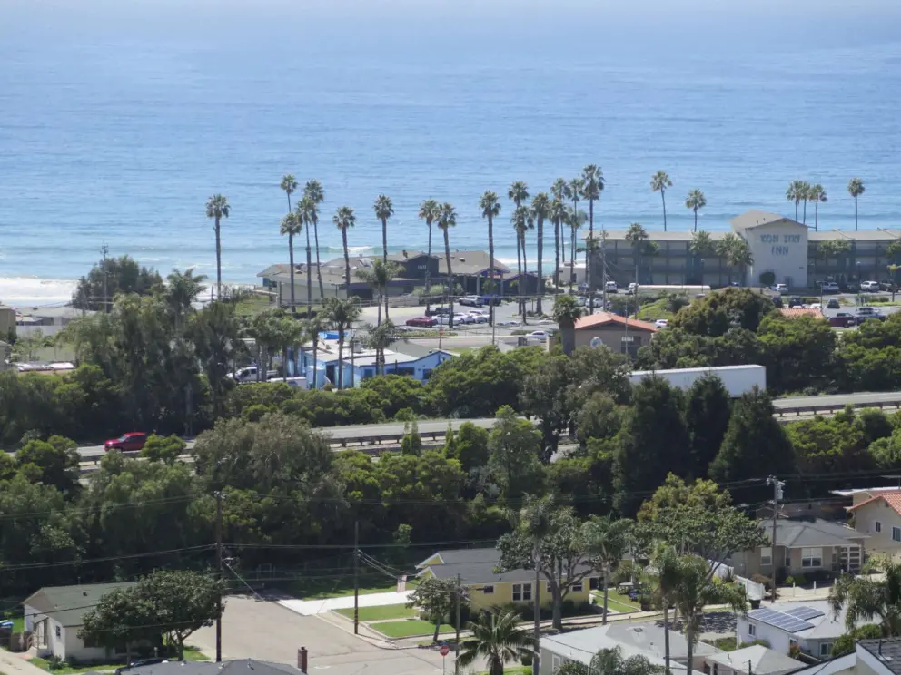 Palm trees beside Kon Tiki Inn, as seen from Boosinger Park. 