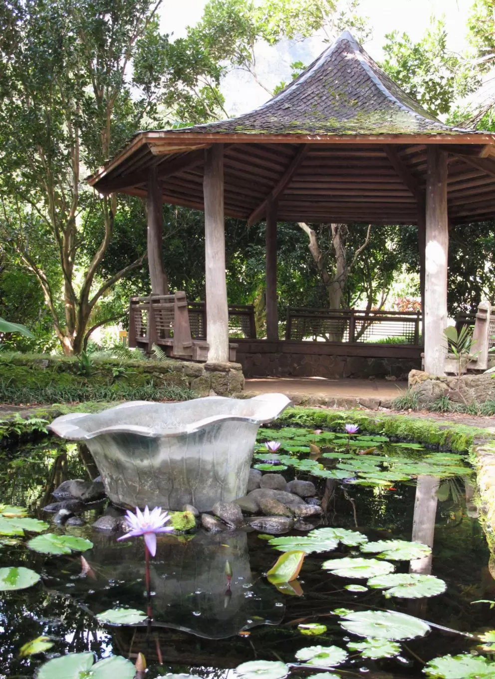 Lily pond and gazebo.