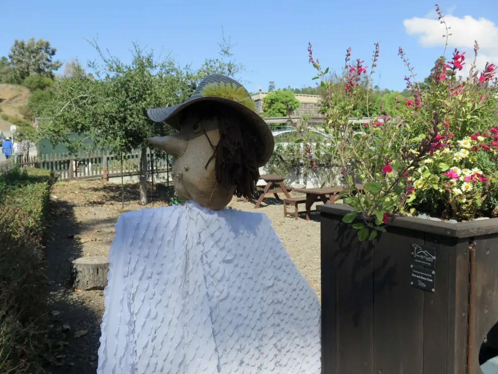 Scarecrow with interesting fabric in the garden of the Cambria Historical Society on Burton Drive. 