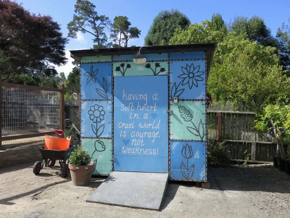 Colorful shed. Having a soft heard in a cruel world is courage, not weakness!