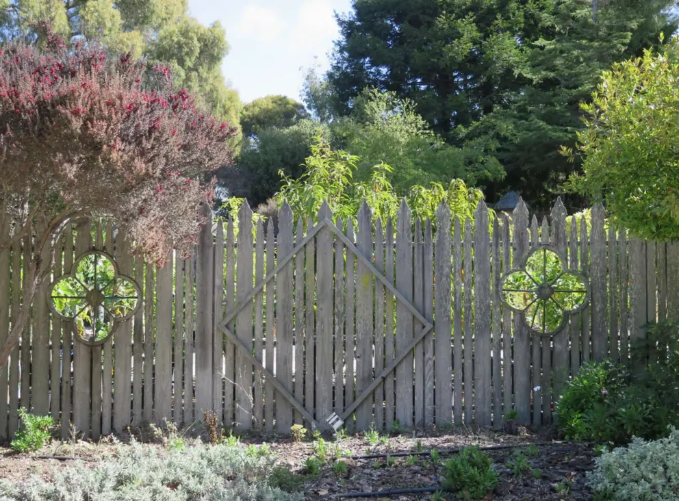 The fence, with windows to the world. 