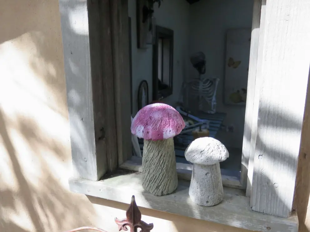 Mushroom sculptures in the window of the cottage. 