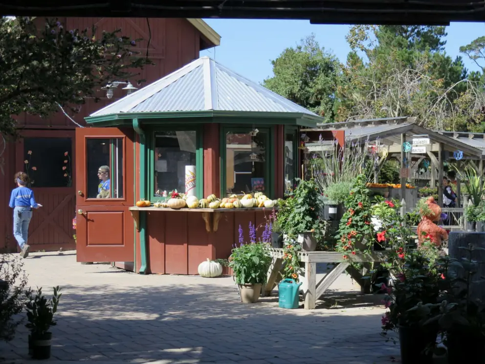Rust brown shed with big windows, where you pay. 