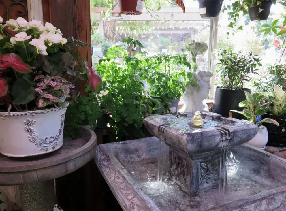 A garden room with dappled light and a fountain. 