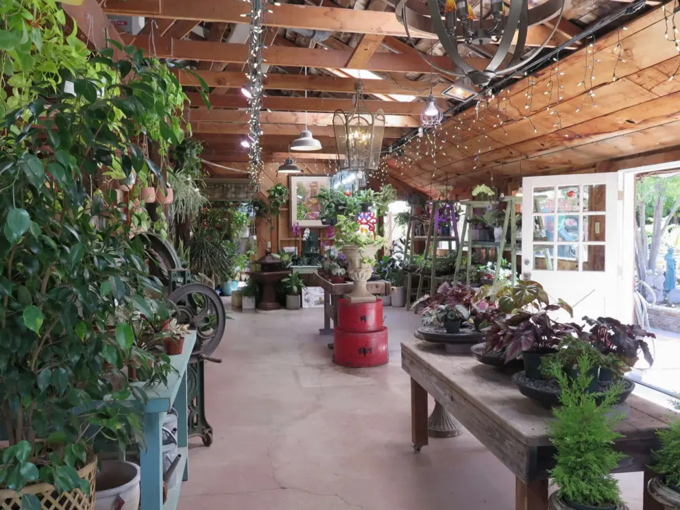 Garden room with hanging lights. 