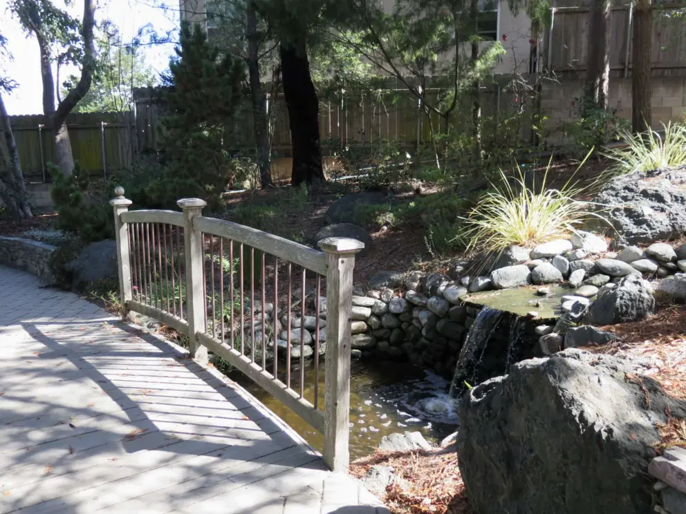 Bridge over a stream, with decorative grasses catching the light. 