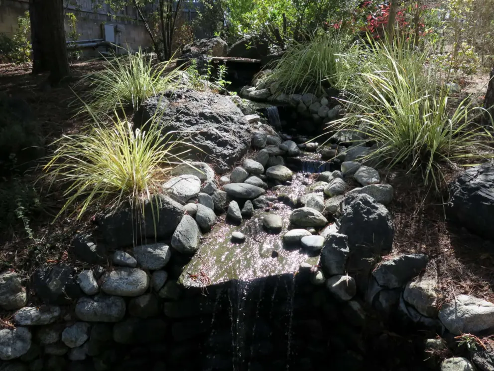 Stream with pebbles and decorative grasses. 