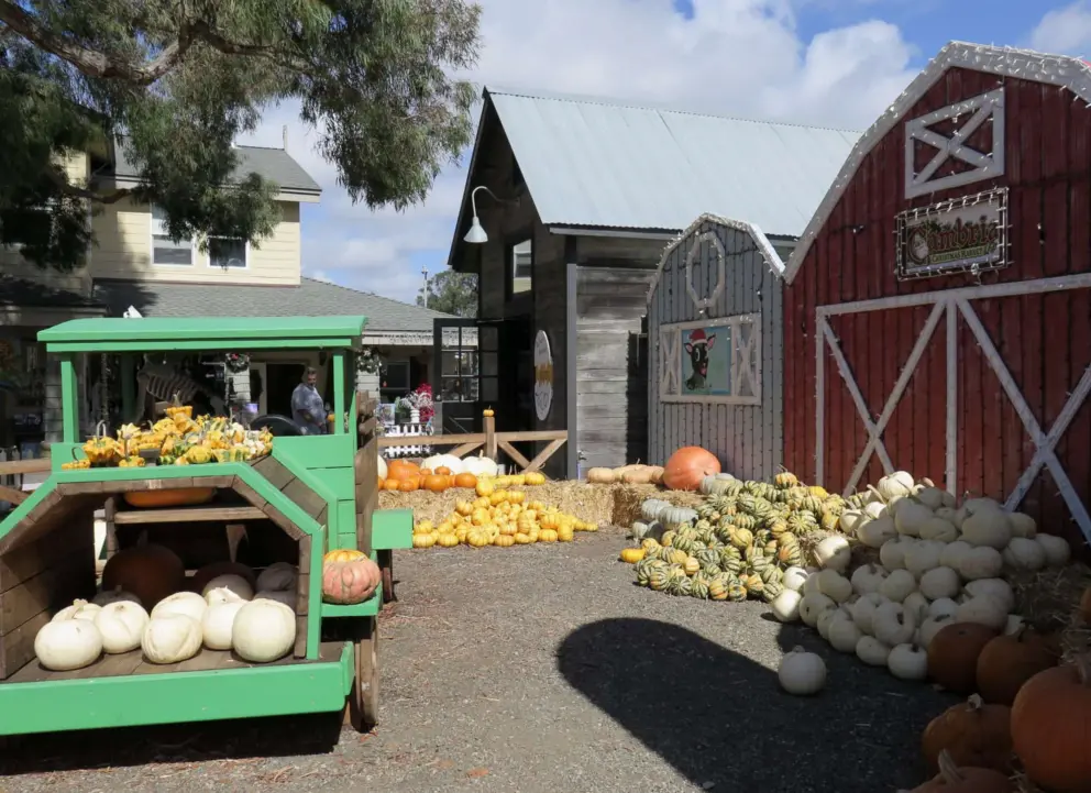 Barn facade and green wagon with pumpkins. 