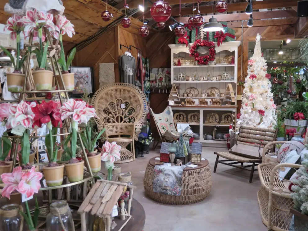 Beautiful layout of Christmas decorations. 