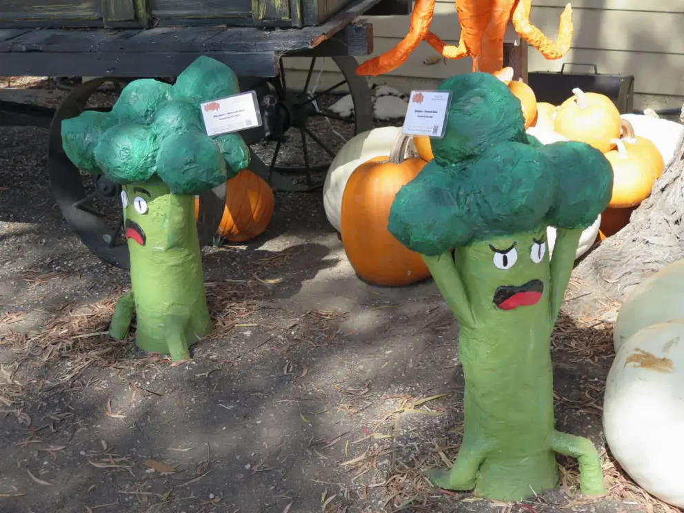 Broccoli scarecrows as part of the Cambria Scarecrow Festival, at Cambria Nursery and Florist. 