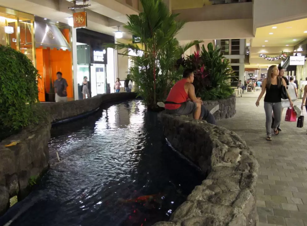 Koi pond on the second level.