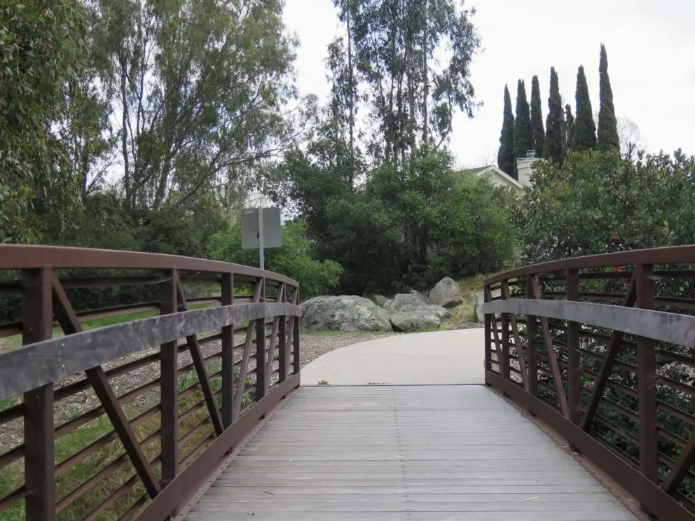 The bridge near the eucalyptus grove. 