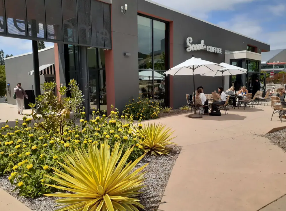 Bright plants in front of Scout Coffee on campus!