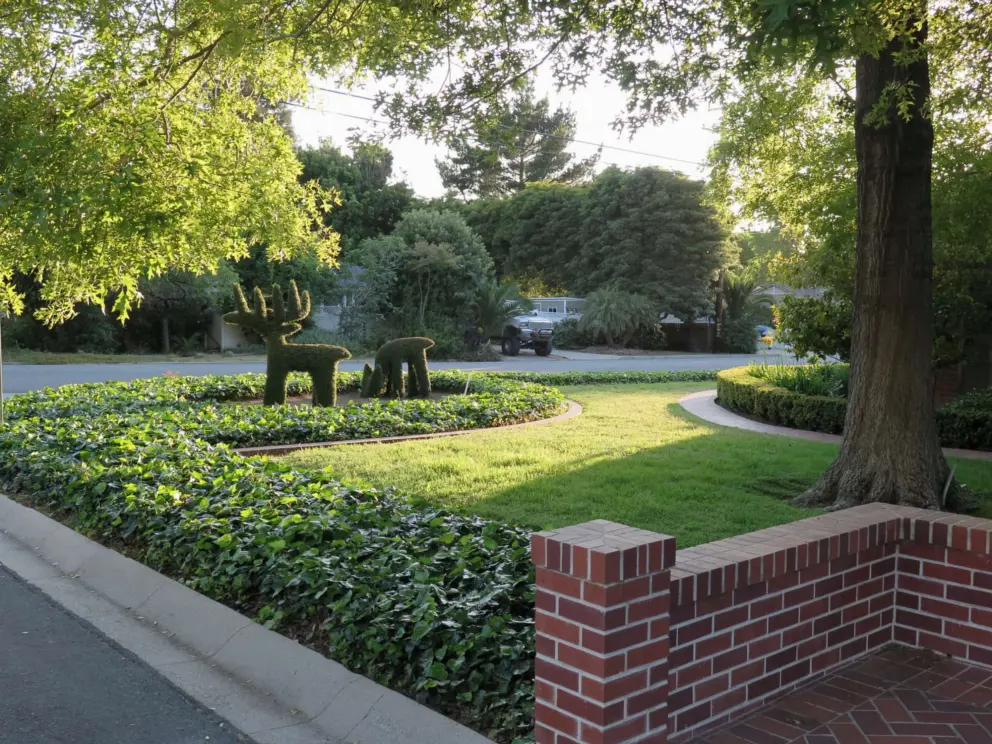 A stately garden with arbor with deer topiaries. 
