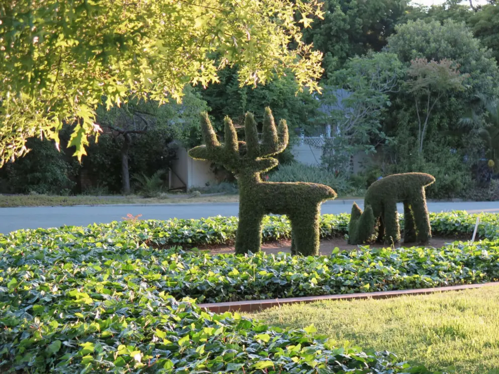 Deer topiaries in a garden. So wonderful!