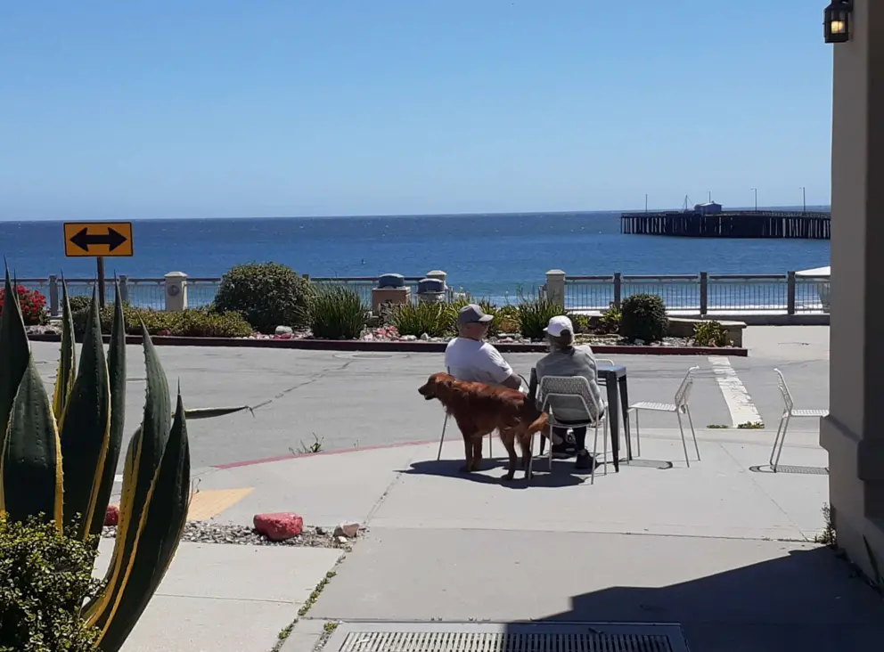Sitting outside Kraken Coffee looking at the ocean and pier. 