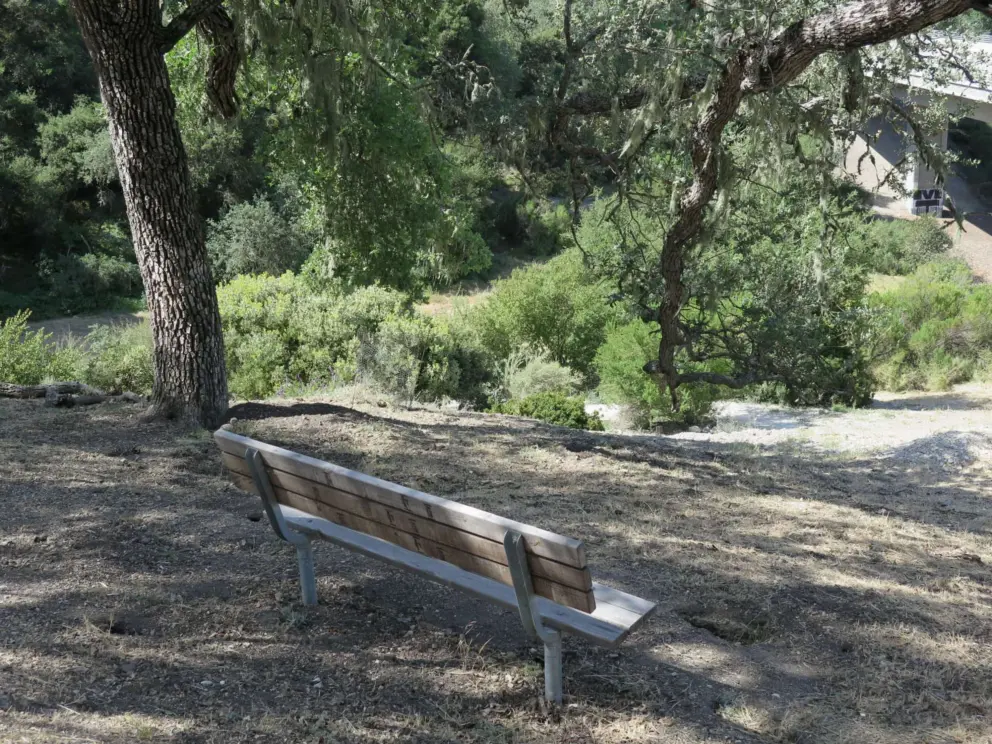 Bench under an oak tree. 