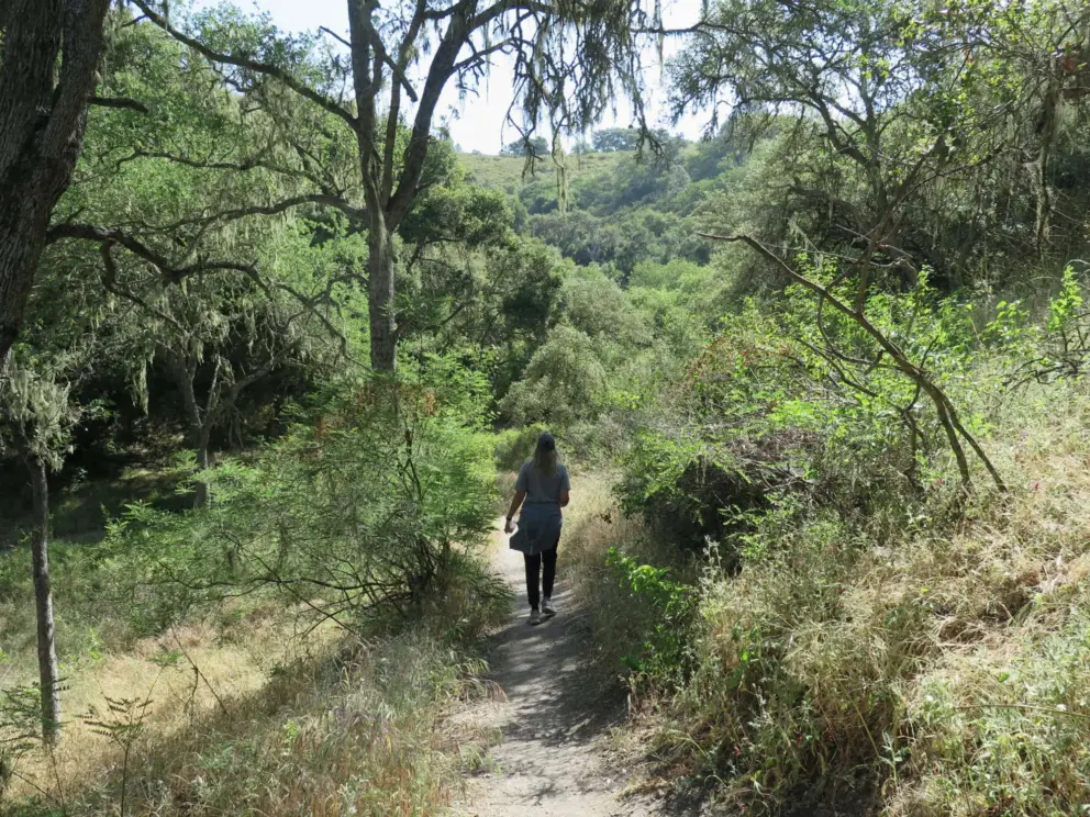 A lady takes a morning walk.