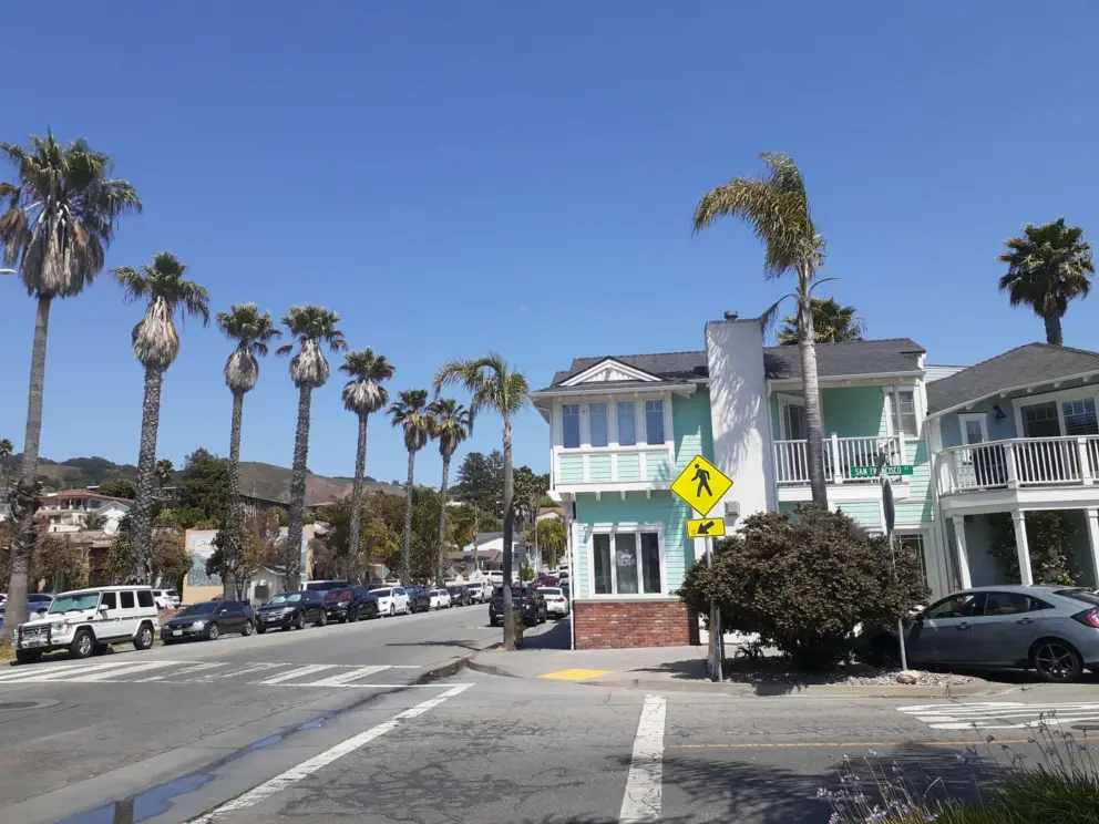 Nice architecture and palm trees on First Street. 