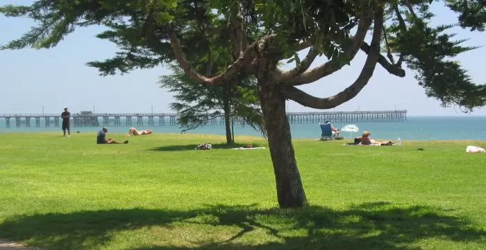 The pier and lawn- some of the lawn is dead these days.