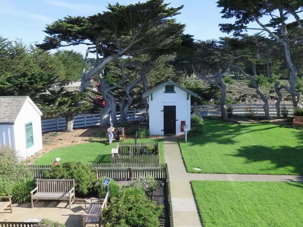 Looking down at the garden. 