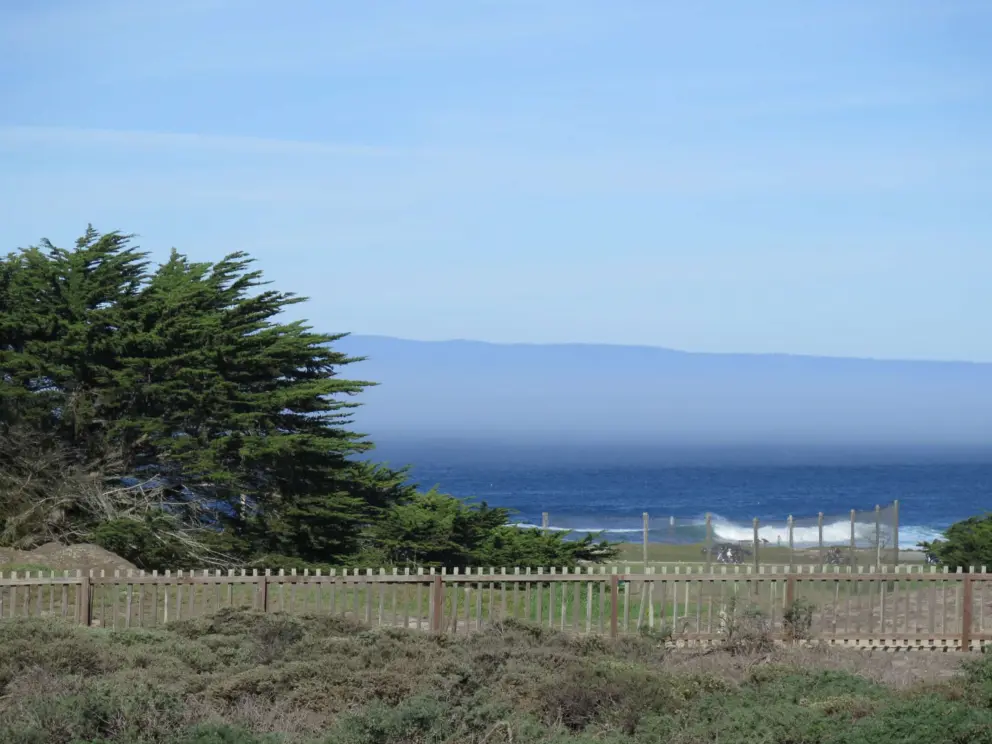 Turquoise wave curling in to shore, as seen from the lighthouse garden. 