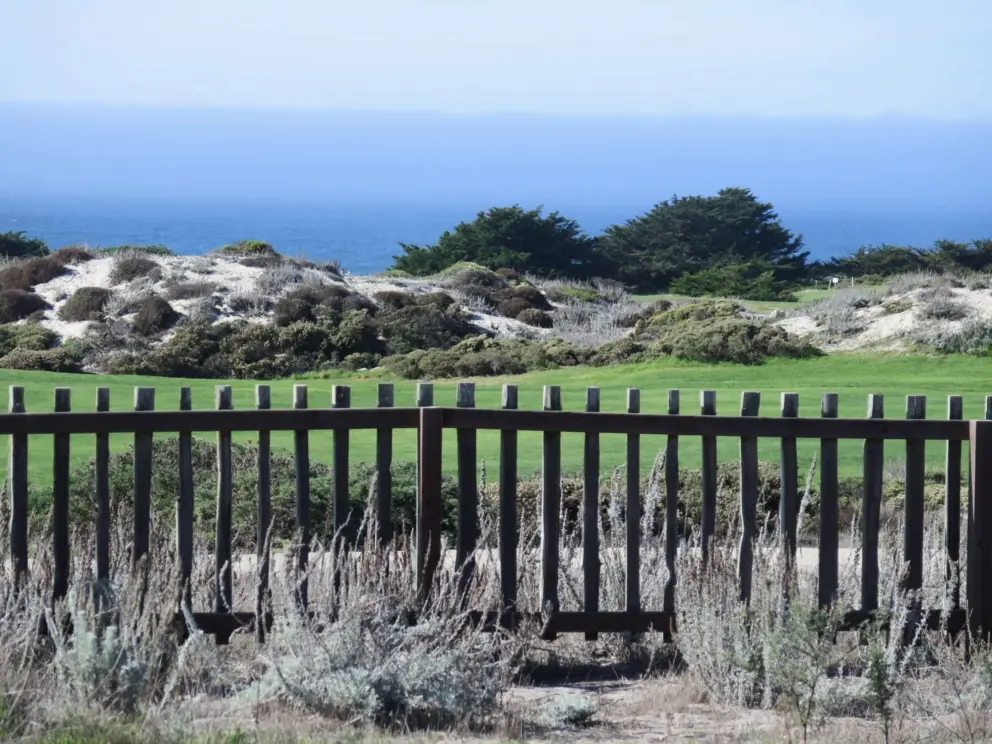 The golf course greens, dunes, cypress trees, and sea. What a view!