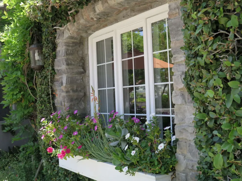 Stone window edges with flower planter and ivy at Mirabelle Inn. 