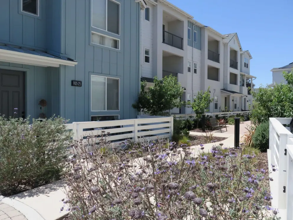 Purple flowers and colorful three-storey townhouses. 