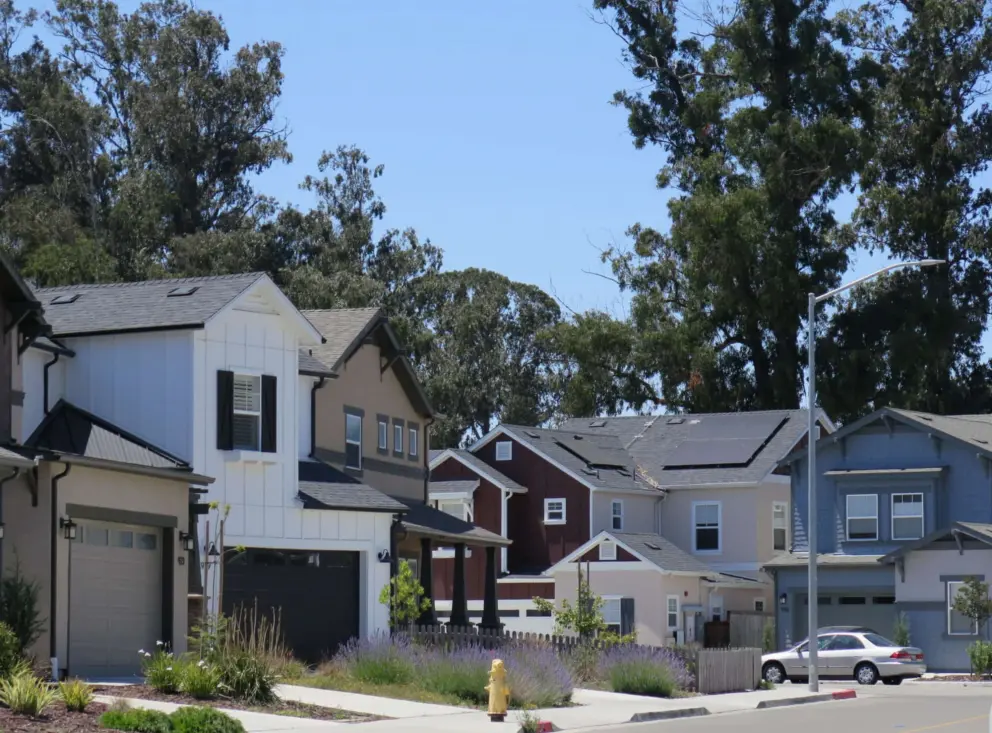 Houses with tall trees behind. 