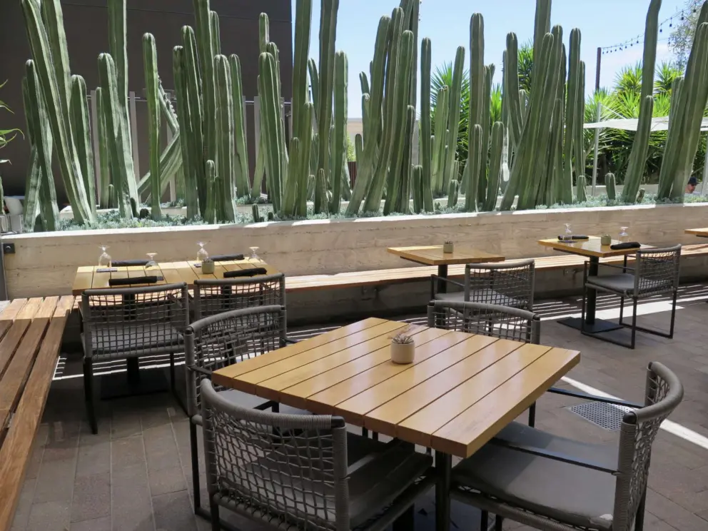 Piadina Restaurant, with gorgeous cactus, on the lower level of Hotel SLO. This is a great place to get an afternoon appetizer!