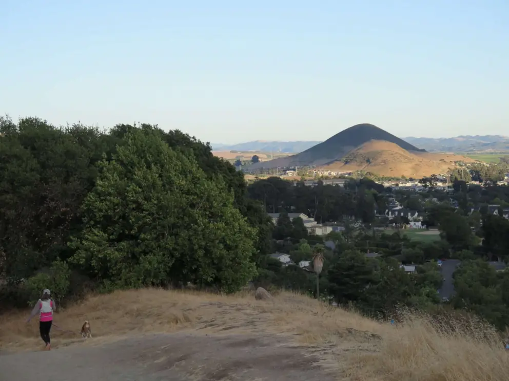 A lady walking her dog, with Islay Hill and Righetti Hill in the background. 