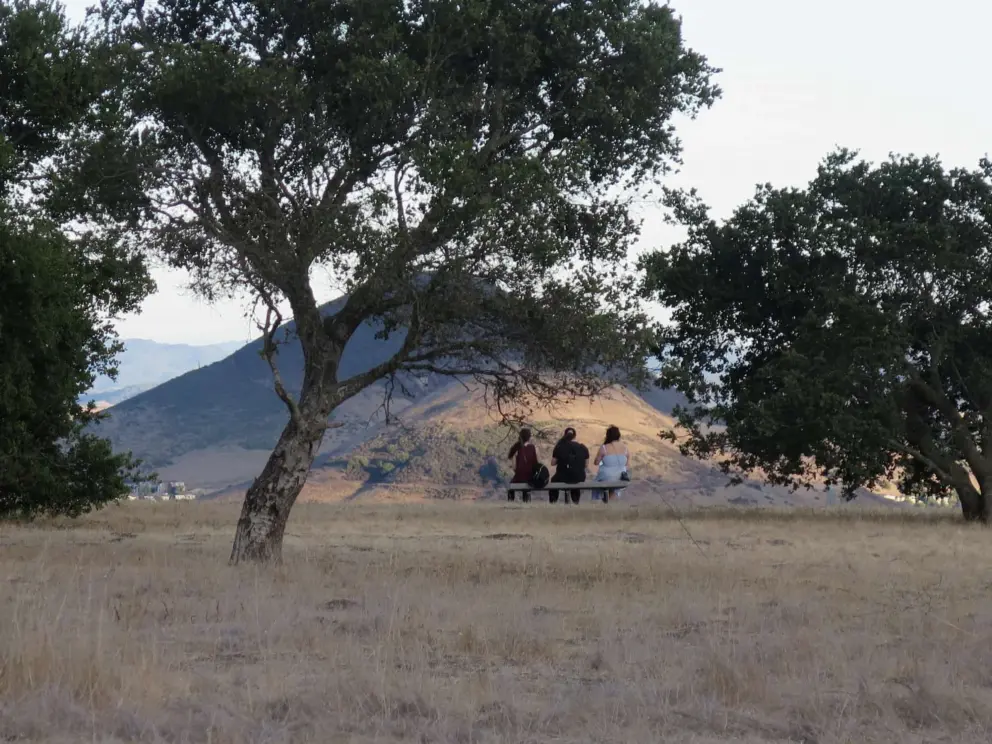 Three ladies watching the light at end of day. 
