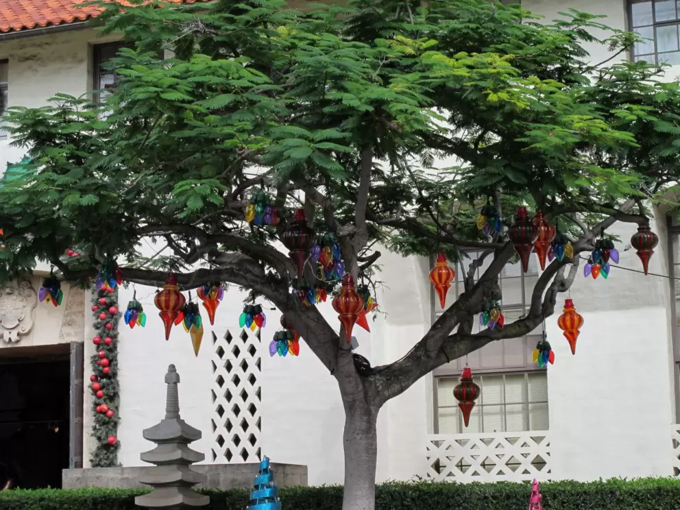 Tree with glass Christmas ornaments, outside Honolulu Hale.