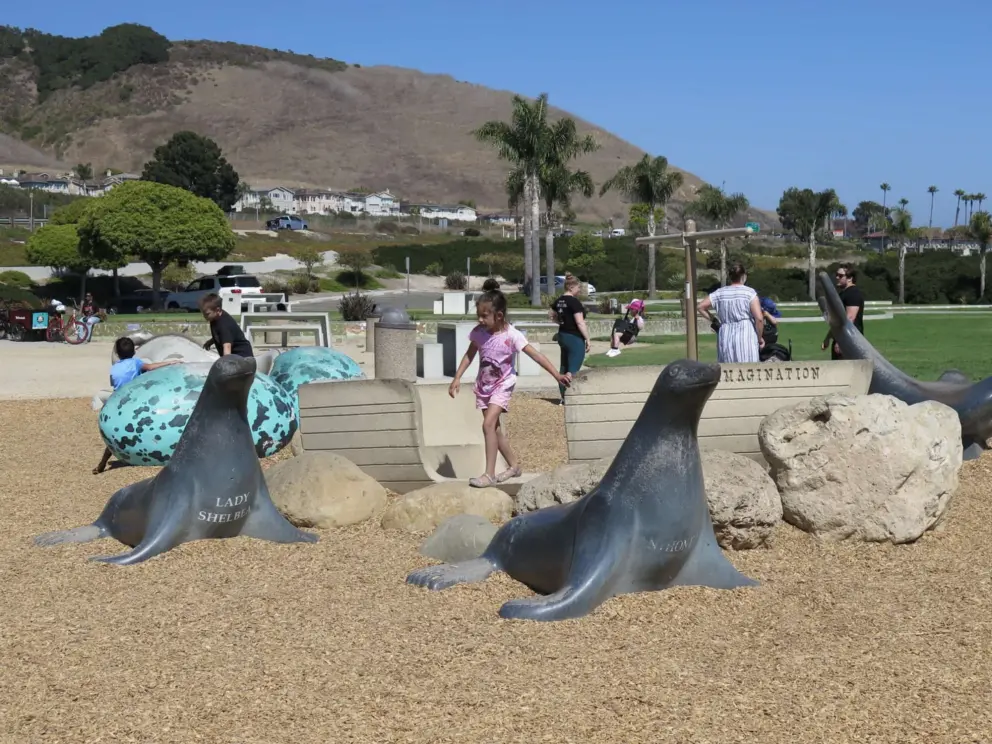 Seal sculptures and rocks to step along. 