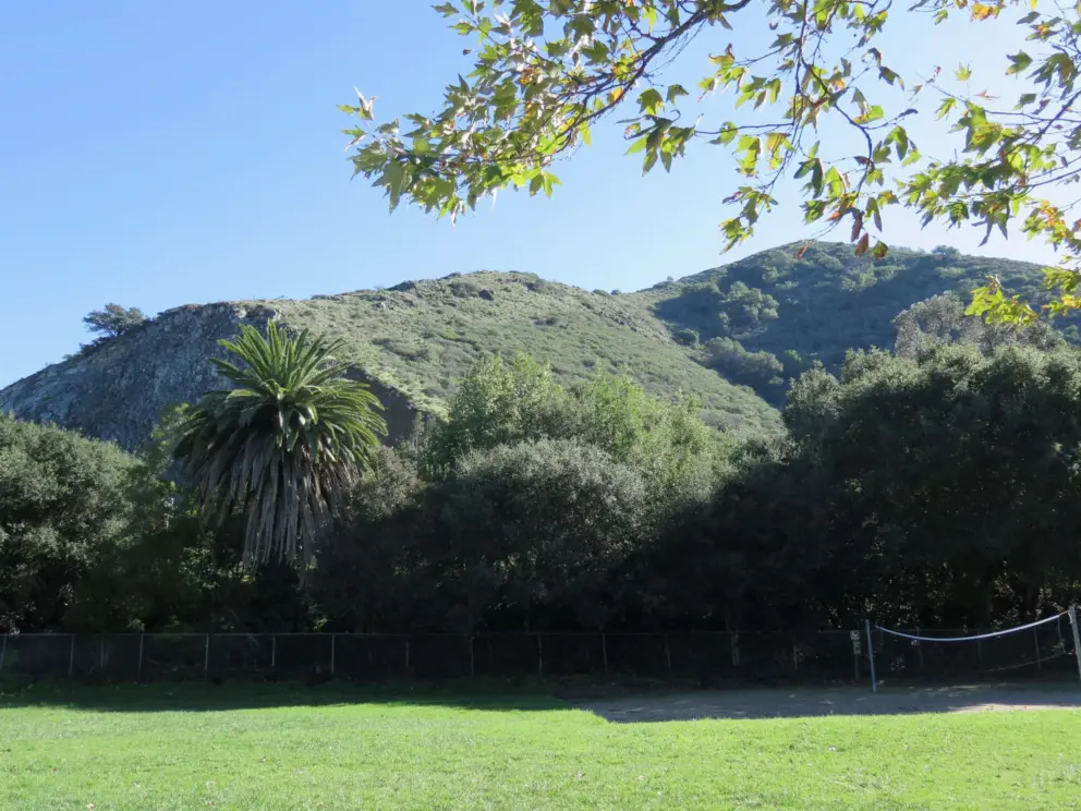 Canary palm, huge lawn, and volleyball court, with mountains framing the scene. 