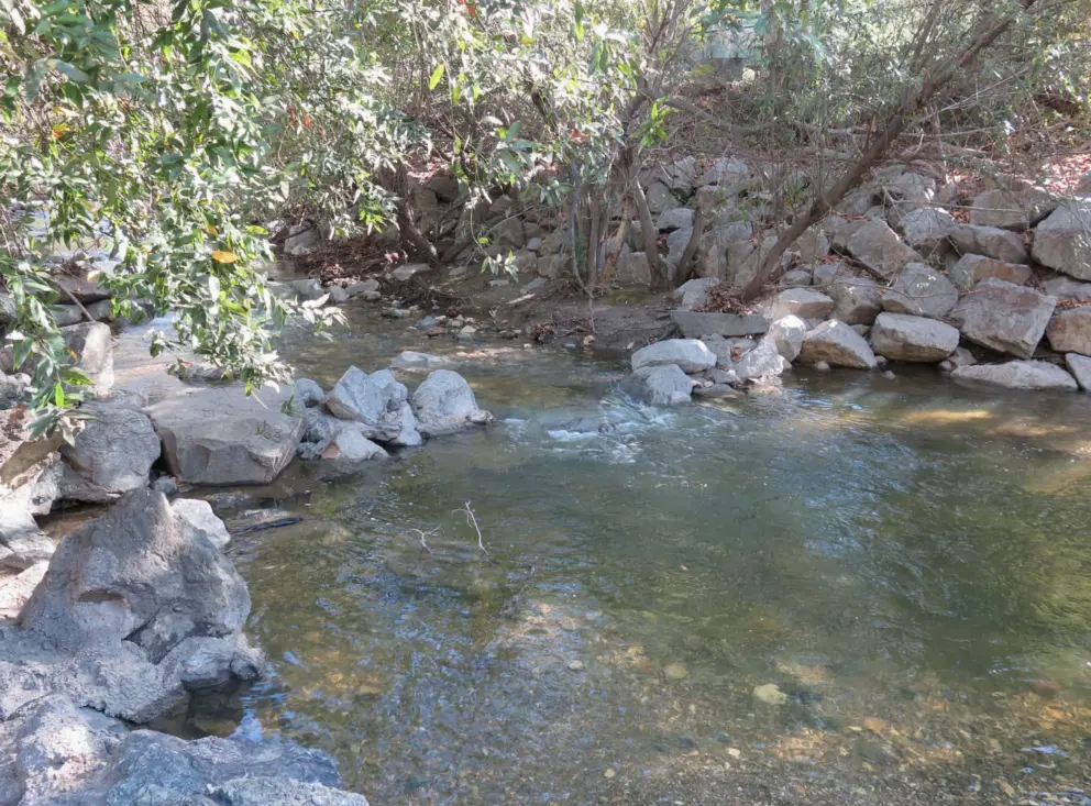 Little pool for the fish to use. 