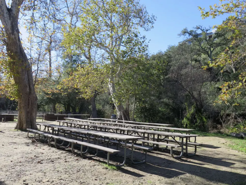 Picnic tables galore, and BBQ pits. Too bad it's so noisy from the freeway. 